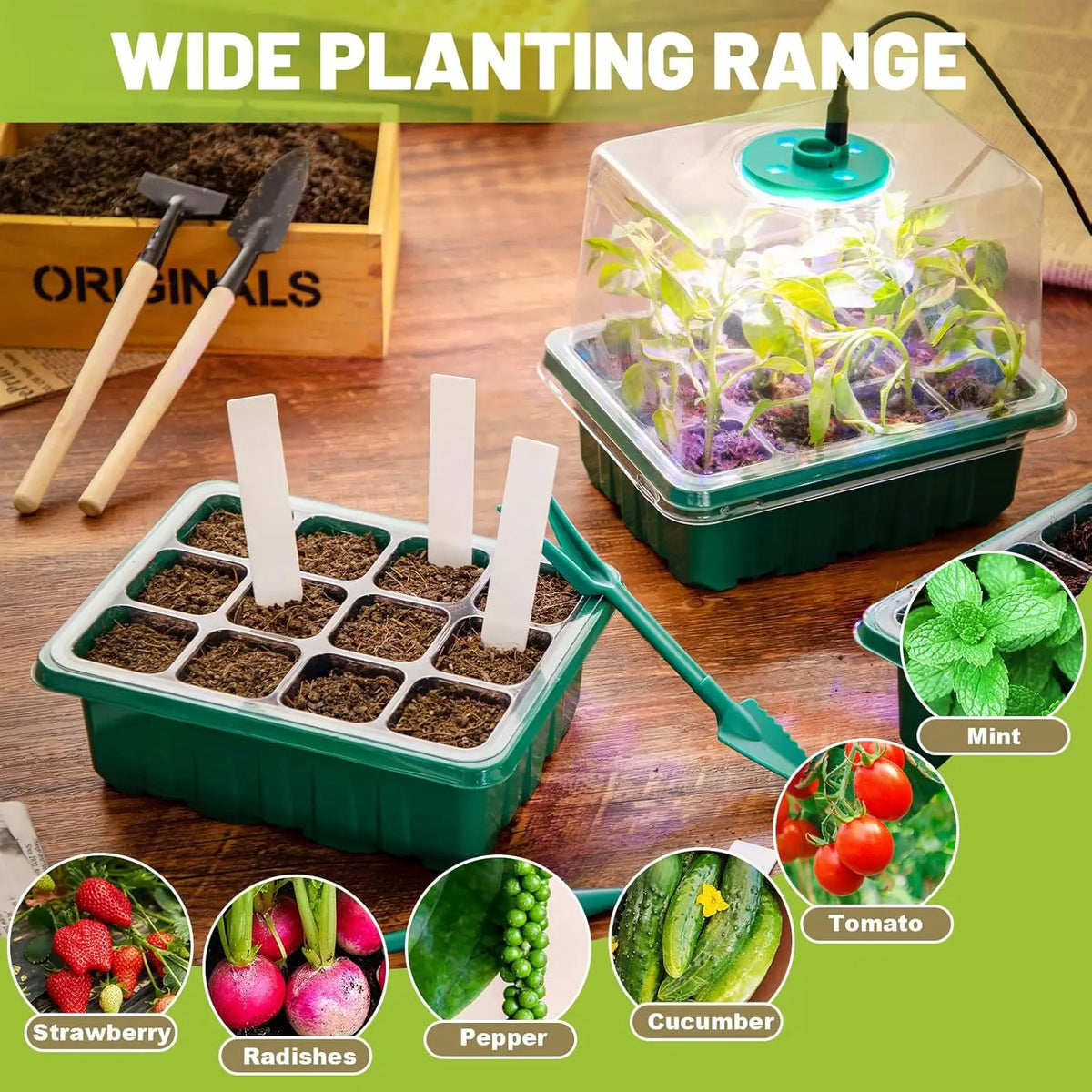 Seed Starter Tray with Humidity Dome – 2-Pack – product photo 5 of 6
