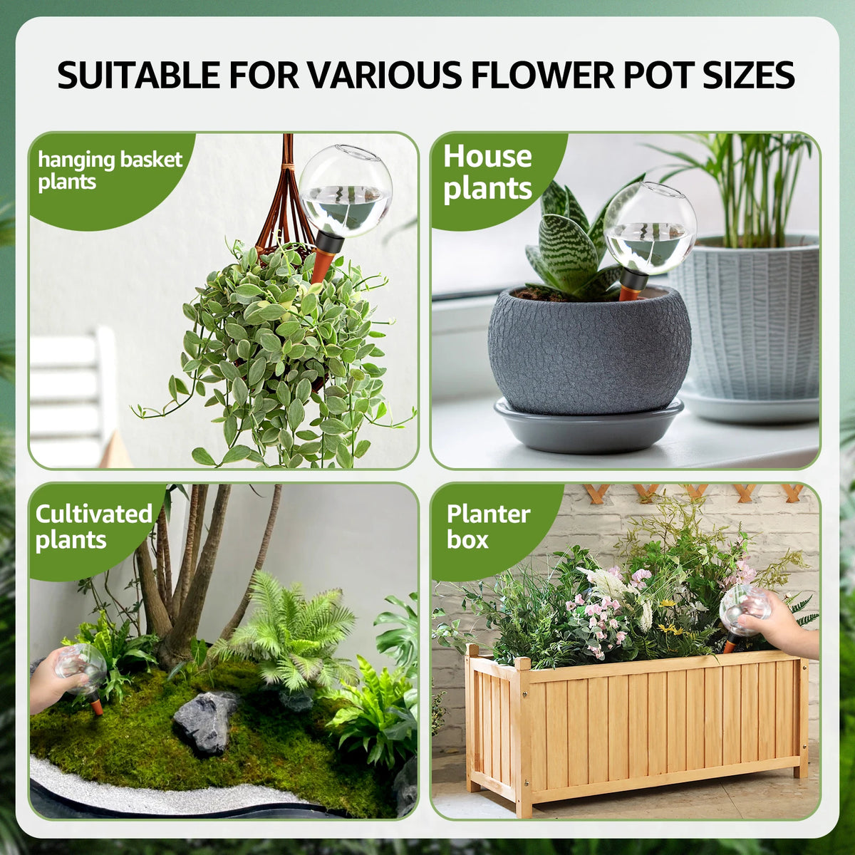 Self-Watering Plant Globes – 500ml – product photo 6 of 8