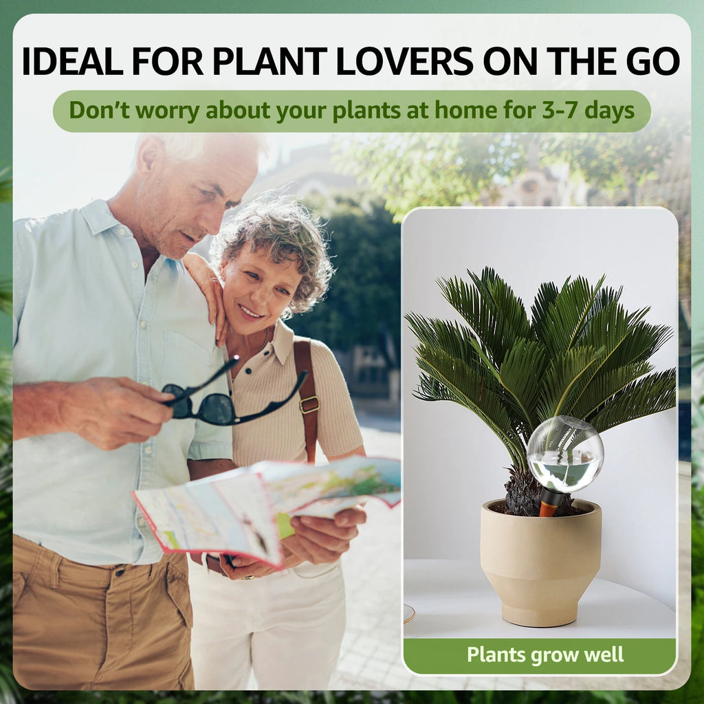 Self-Watering Plant Globes – 500ml – product photo 5 of 8