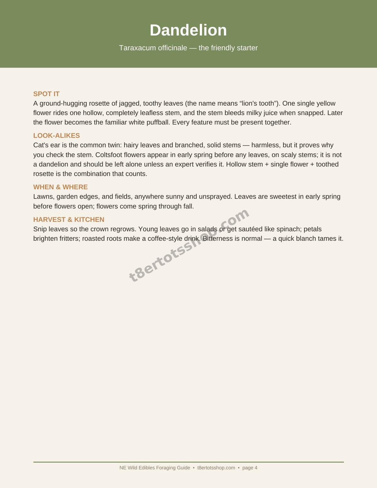 NE Wild Edibles Foraging Guide — 14 Printable Pages