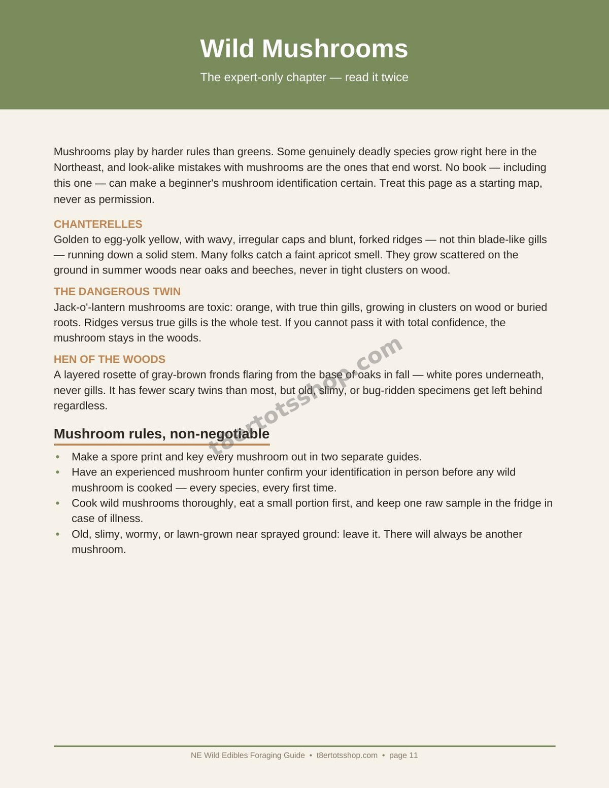 NE Wild Edibles Foraging Guide — 14 Printable Pages