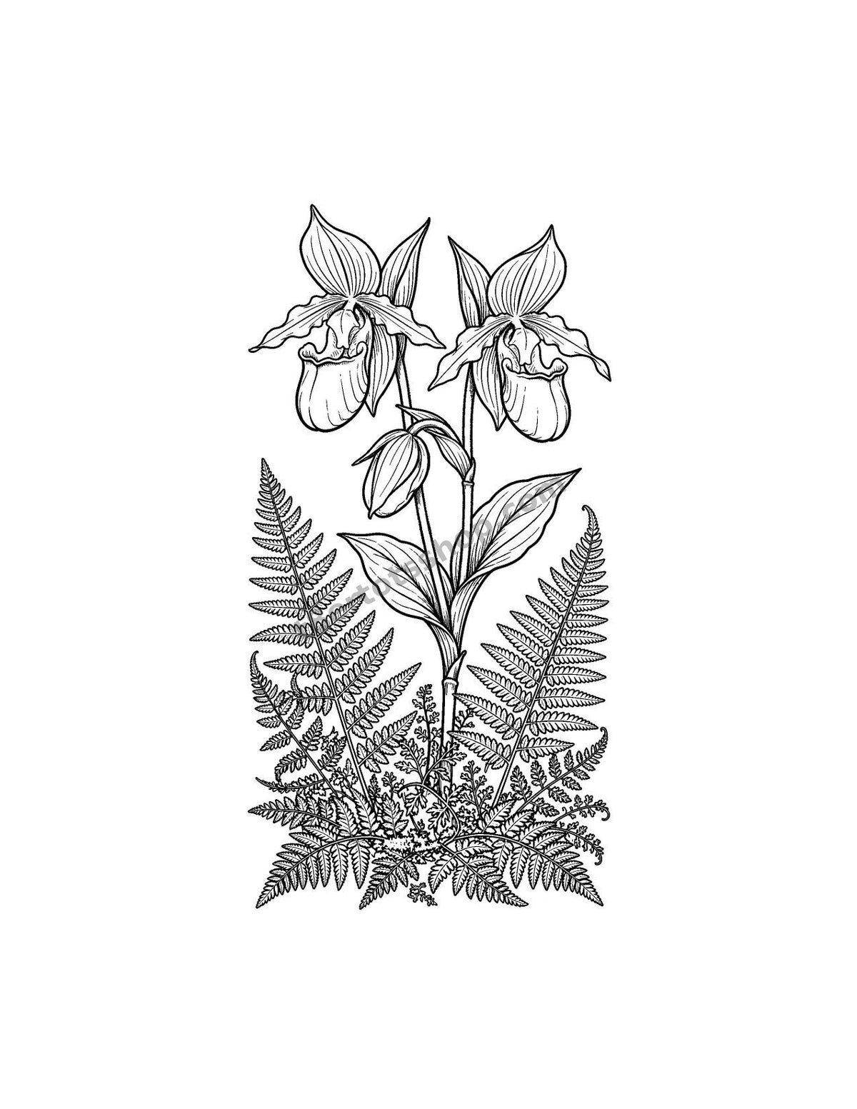 Wildflowers Coloring Pack — 8 Printable Pages