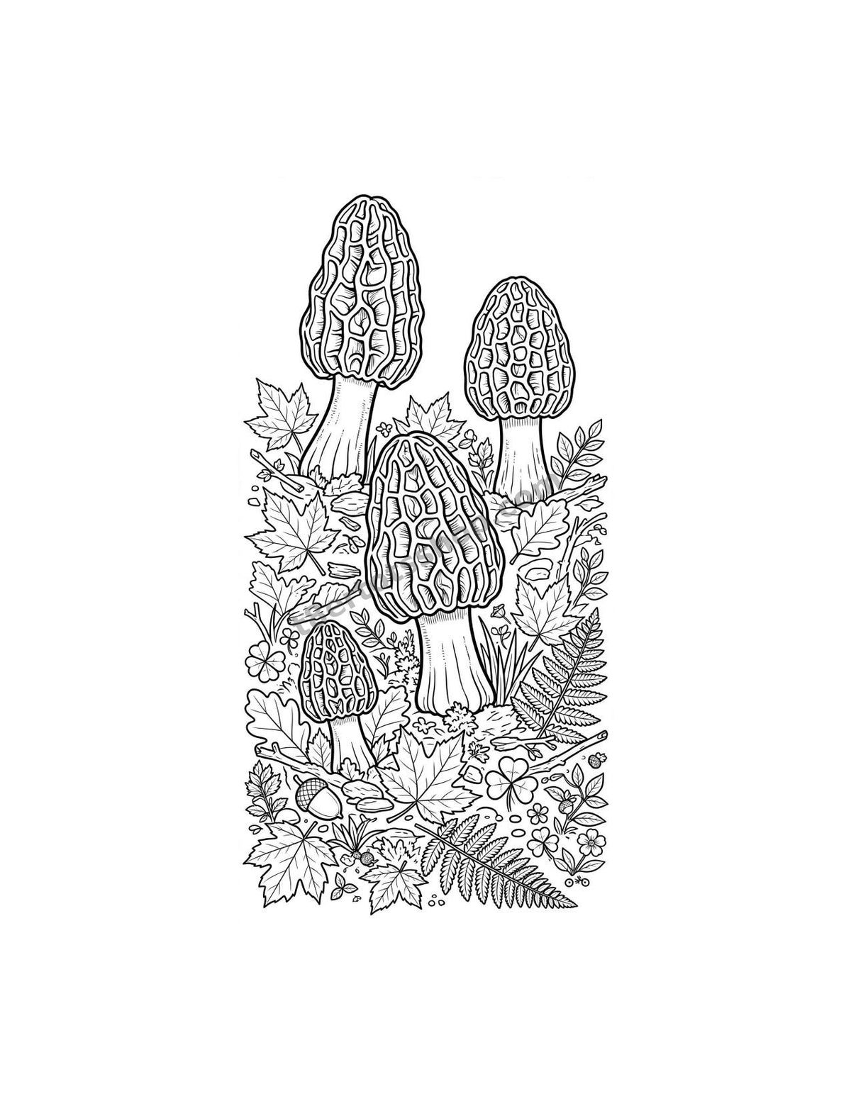 Mushroom & Fungi Coloring Pack — 8 Printable Pages