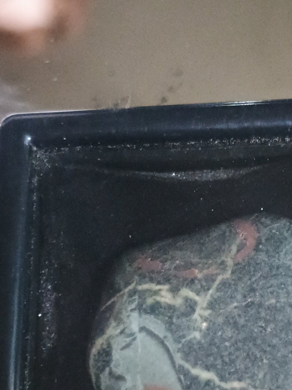 Alternate close view of the actual polished jasper stone in its display box