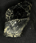 The Night Glass — raw black glassy chunk with a smooth fracture face on black cloth