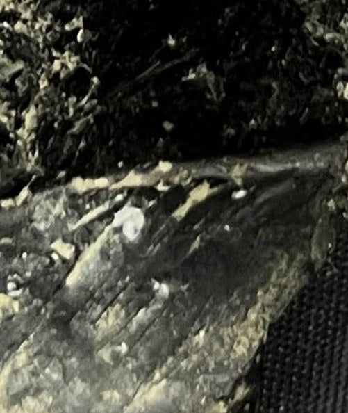 Detail close-up of the actual Night Glass stone