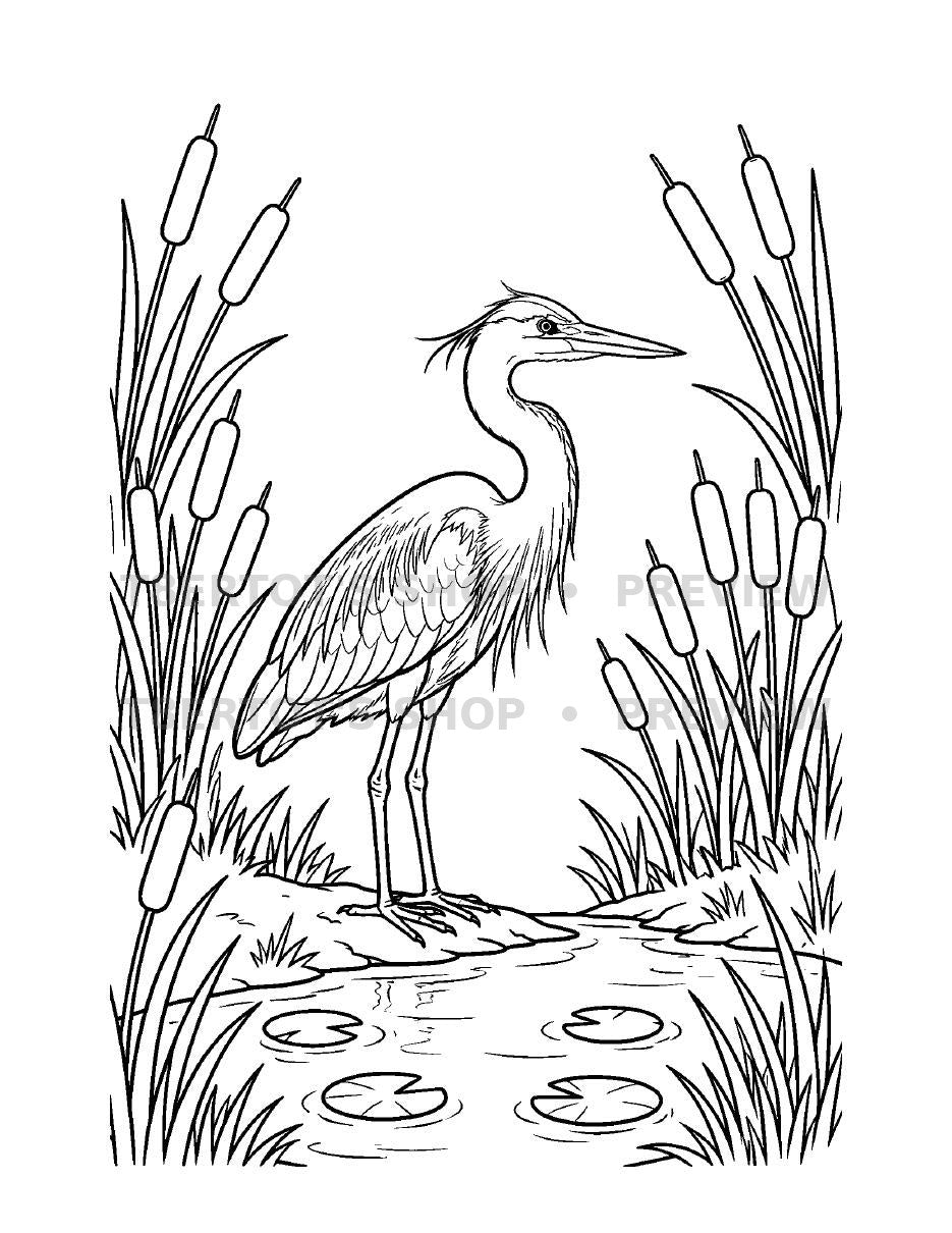 Coloring Pack Vol. 2 — heron page preview