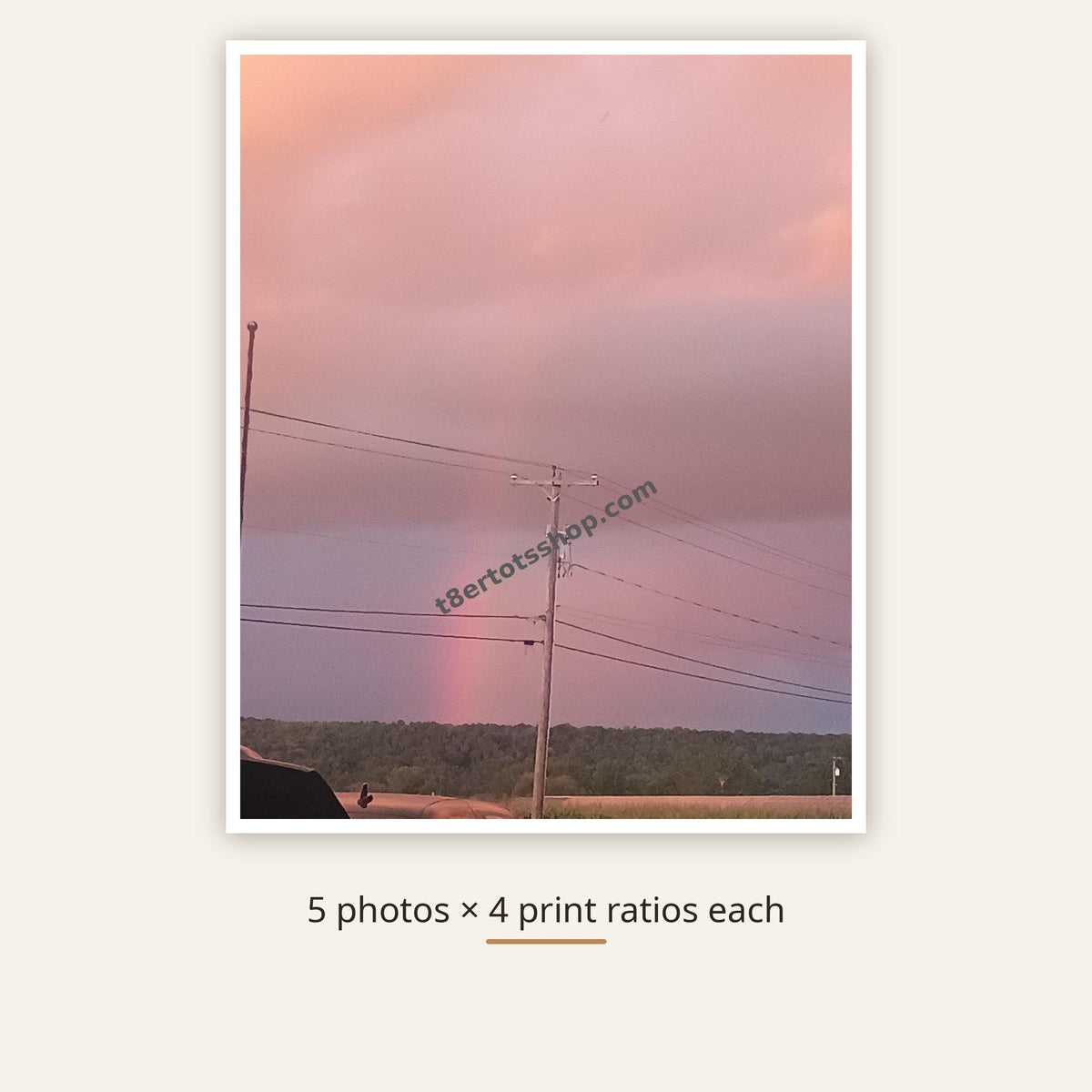 Nature Wall Art Pack — 5 Printable Photos